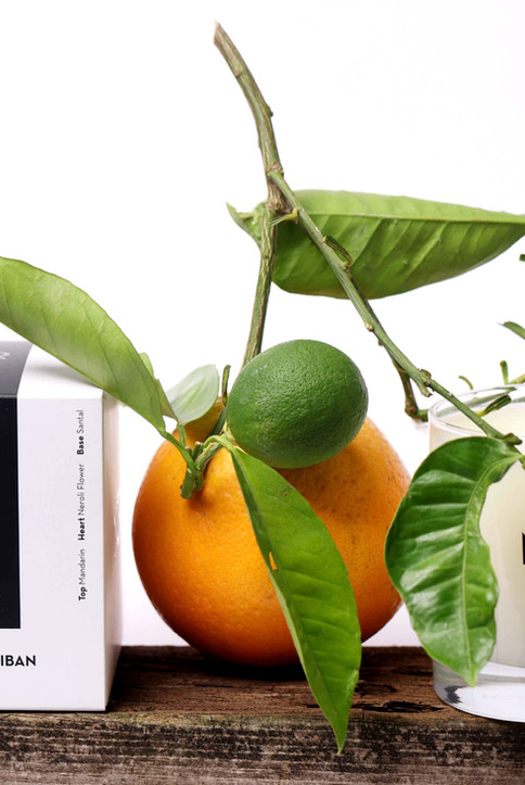 Orange Du Liban No.3 Candle - Elysian Couture